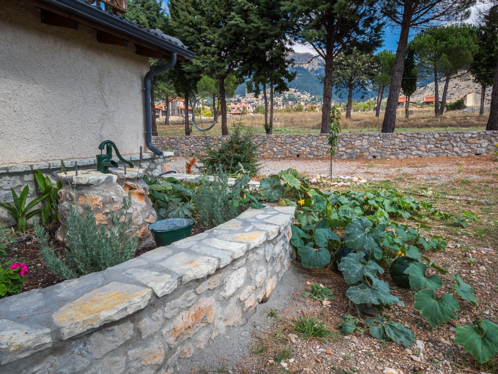 Garden area with vegetables