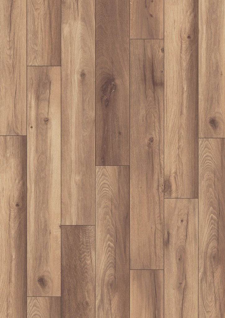 Twilight Oak