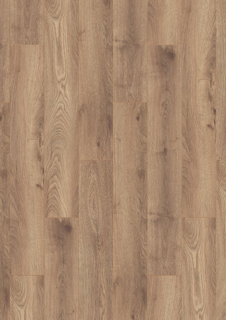 Shadow Oak