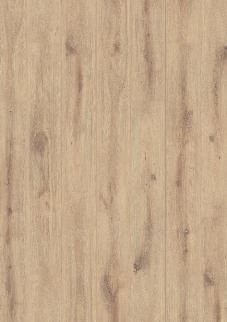 Dusky Cypress
