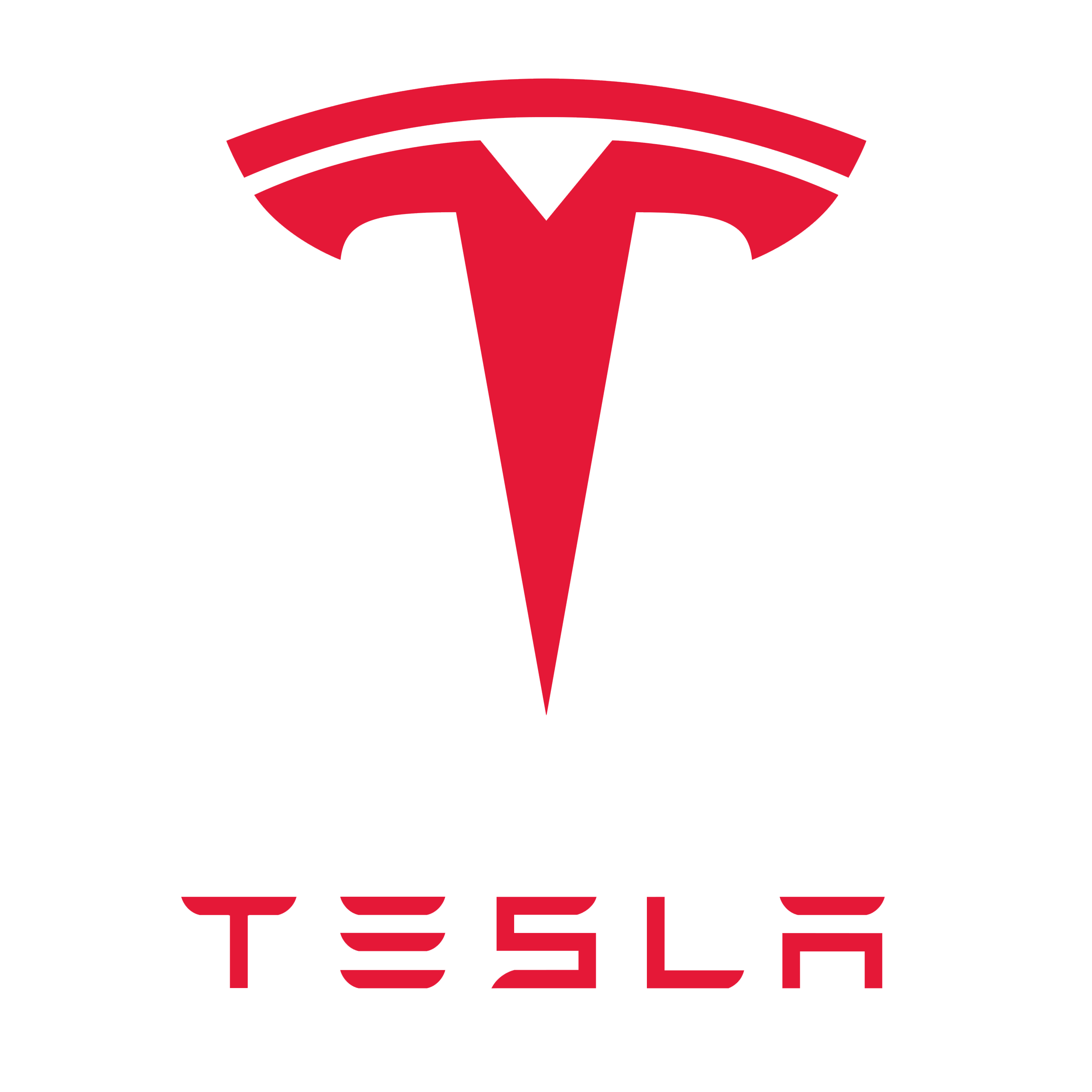 Tesla Tesla logo