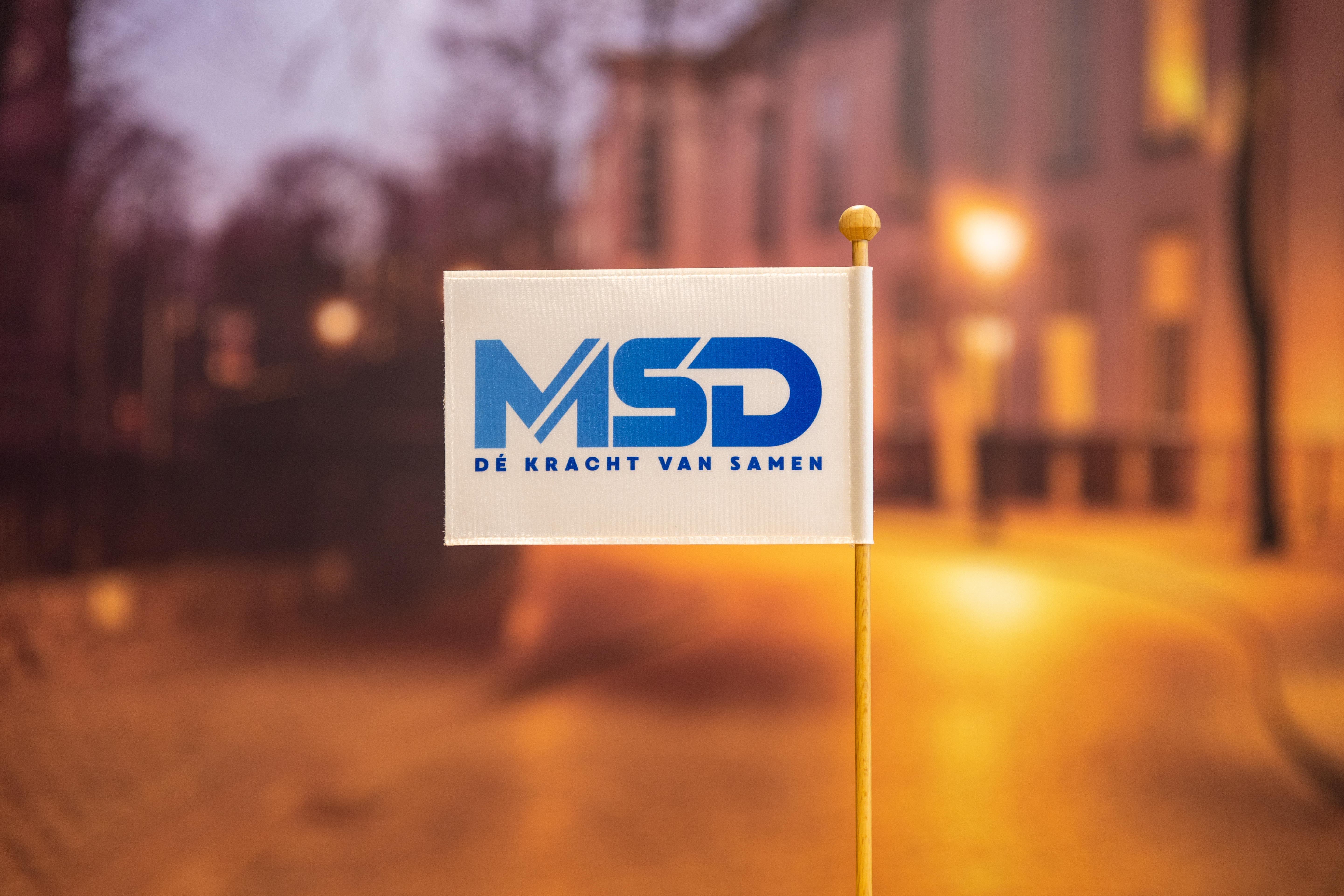 MSD Groep vlag op kantoor