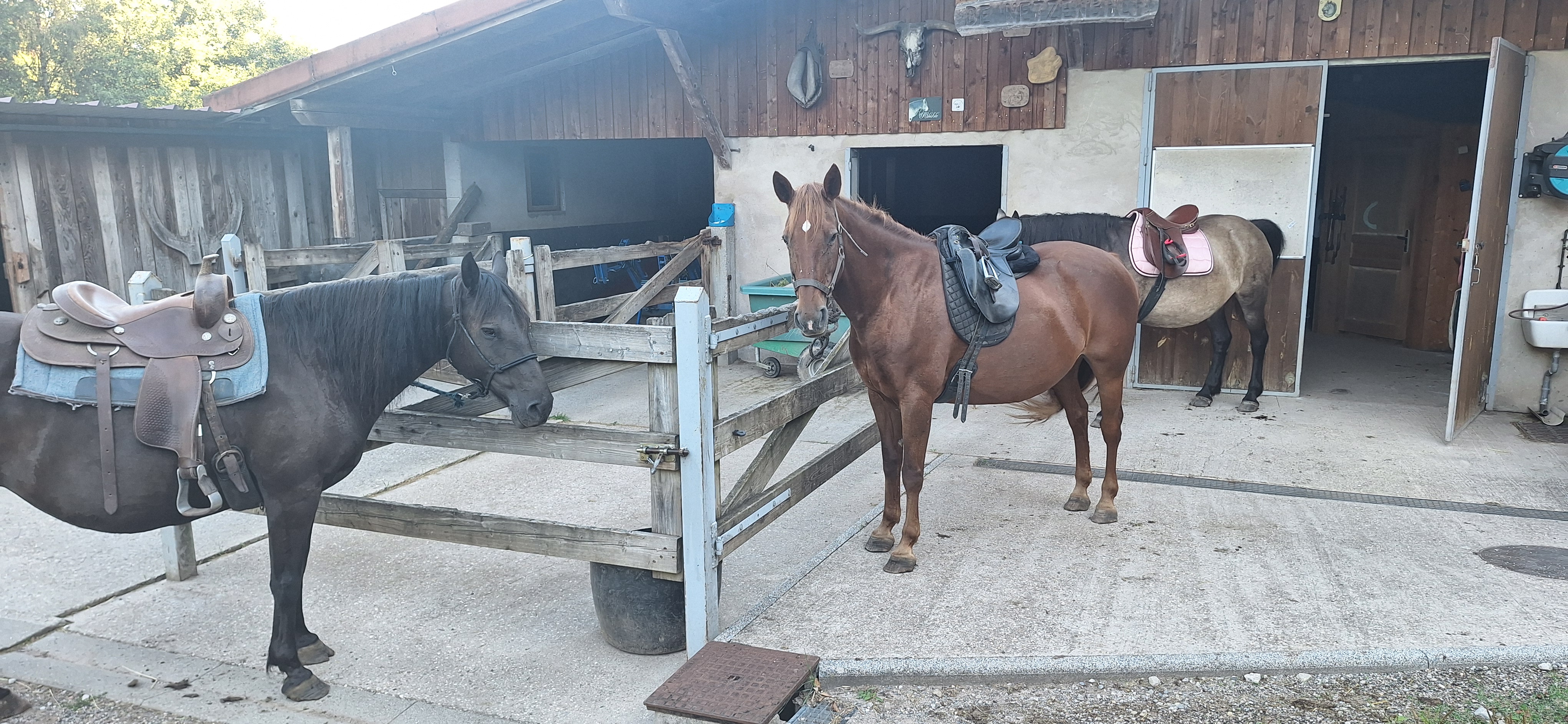 Balades à cheval
