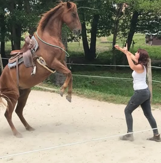Clémentine travaillant avec sa jument brune qui se cabre