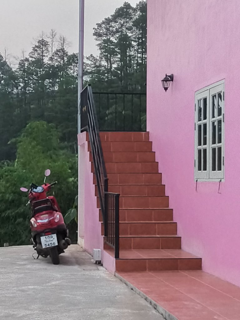 Panoramic Terrace