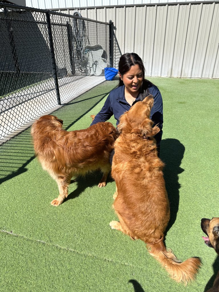 Fetch team member with dog