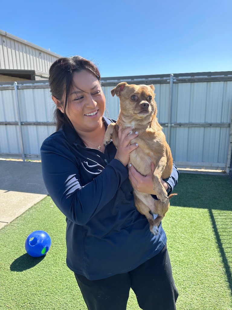 Fetch team member with dog