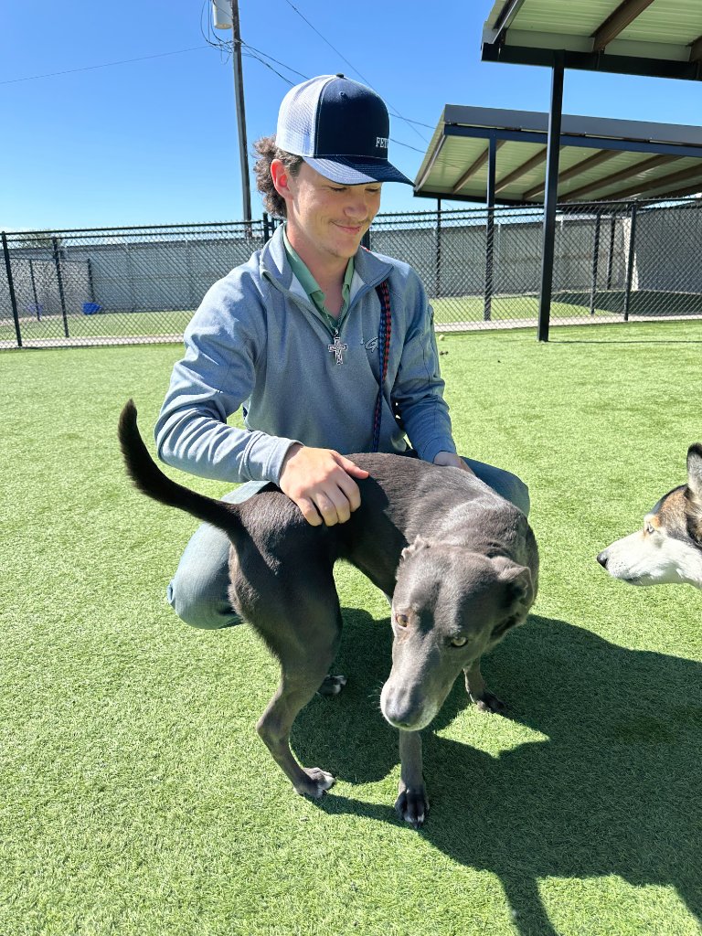 Fetch team member with dog