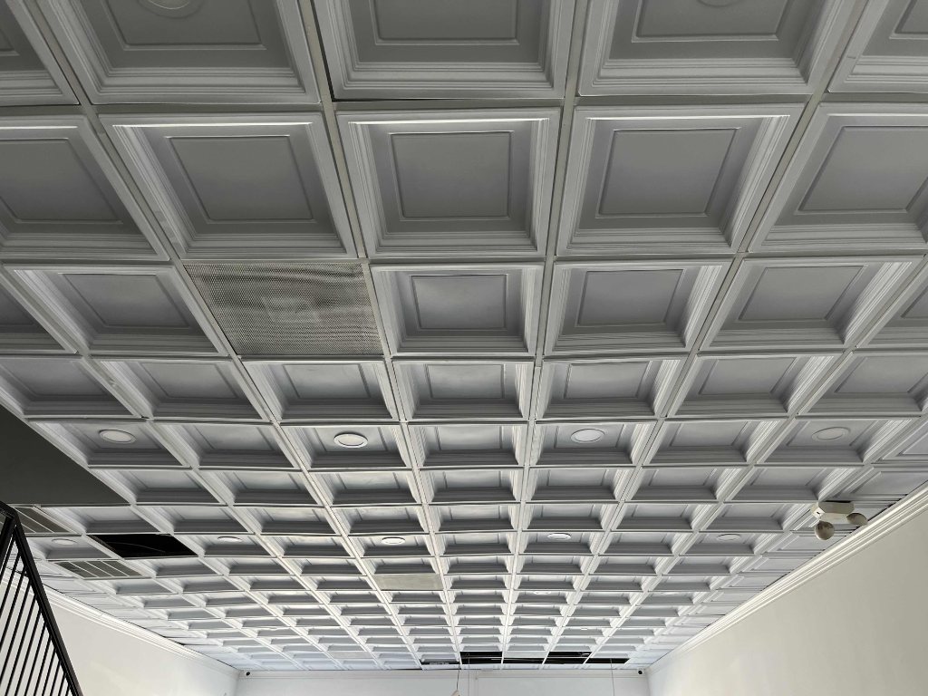 Decorative Ceiling Installation