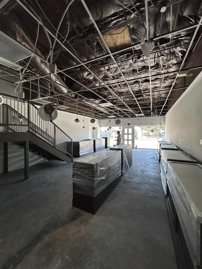 Interior Framing & Ceiling