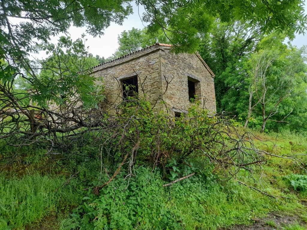 Cantabria: Finca con gran solar en Cantabria