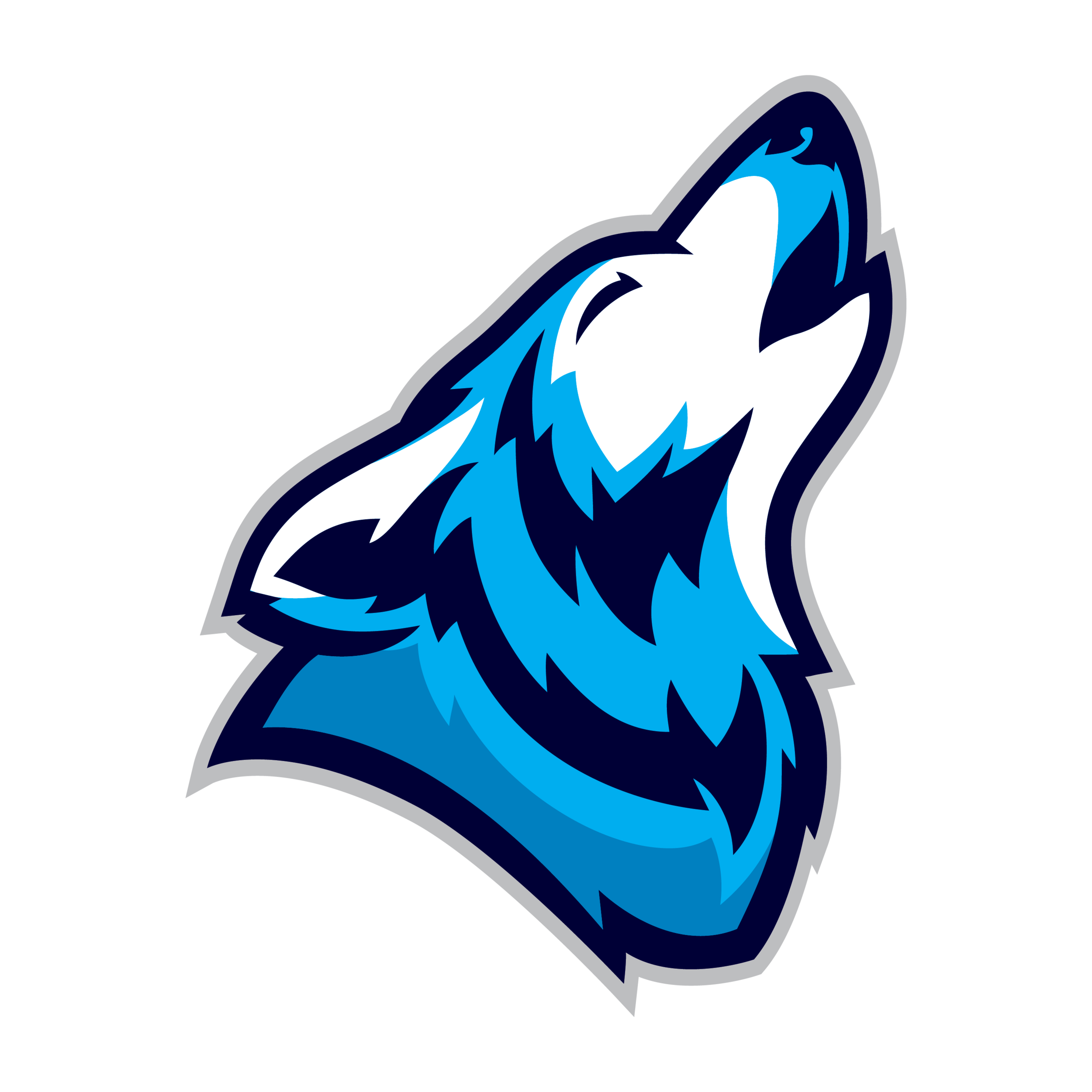 Zev AI Coach