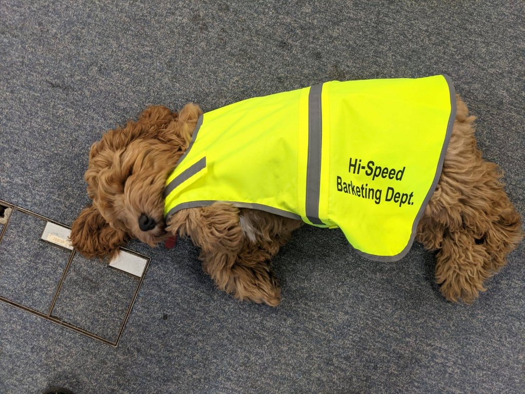 Barney Burmingham