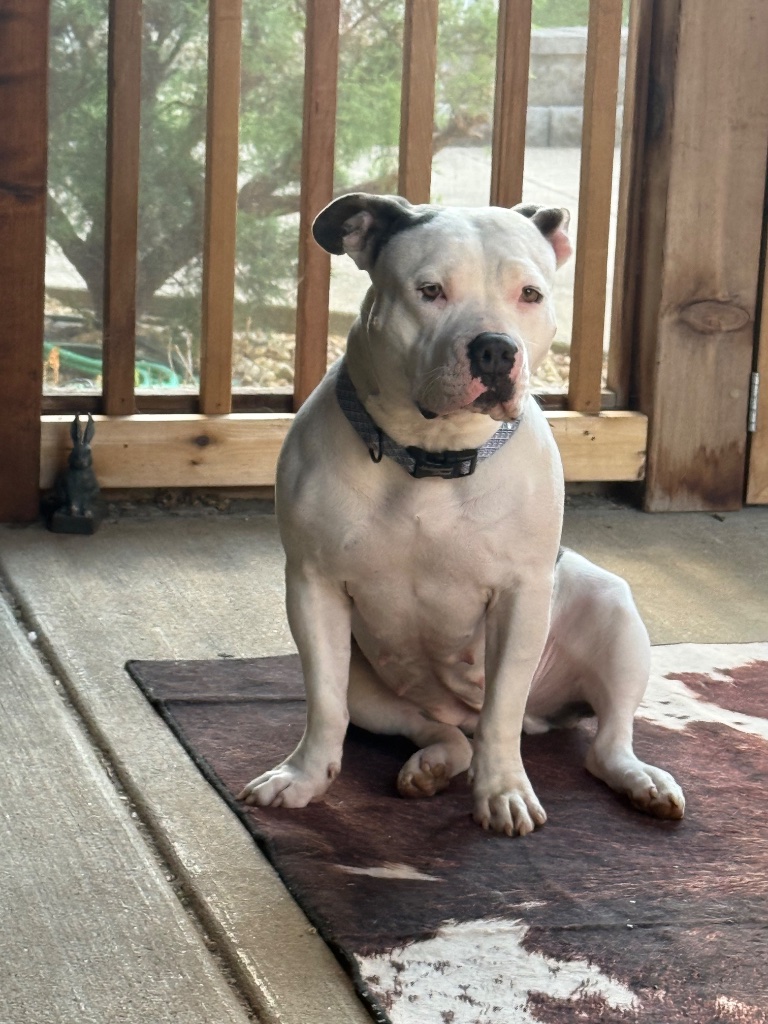 Mama