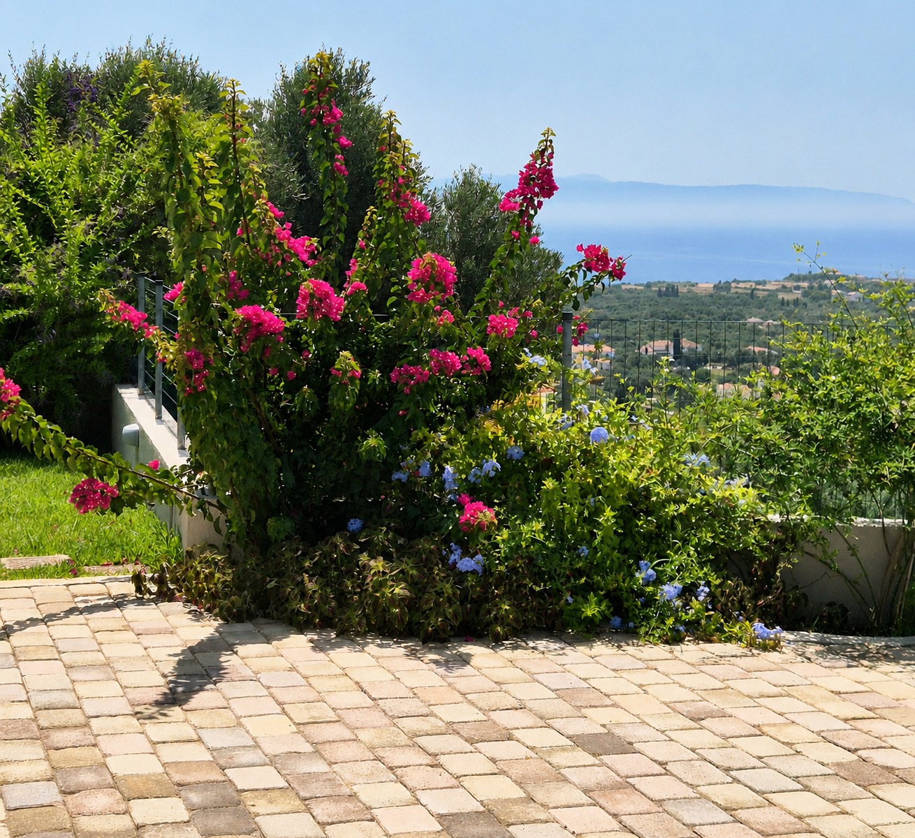 Colourful garden