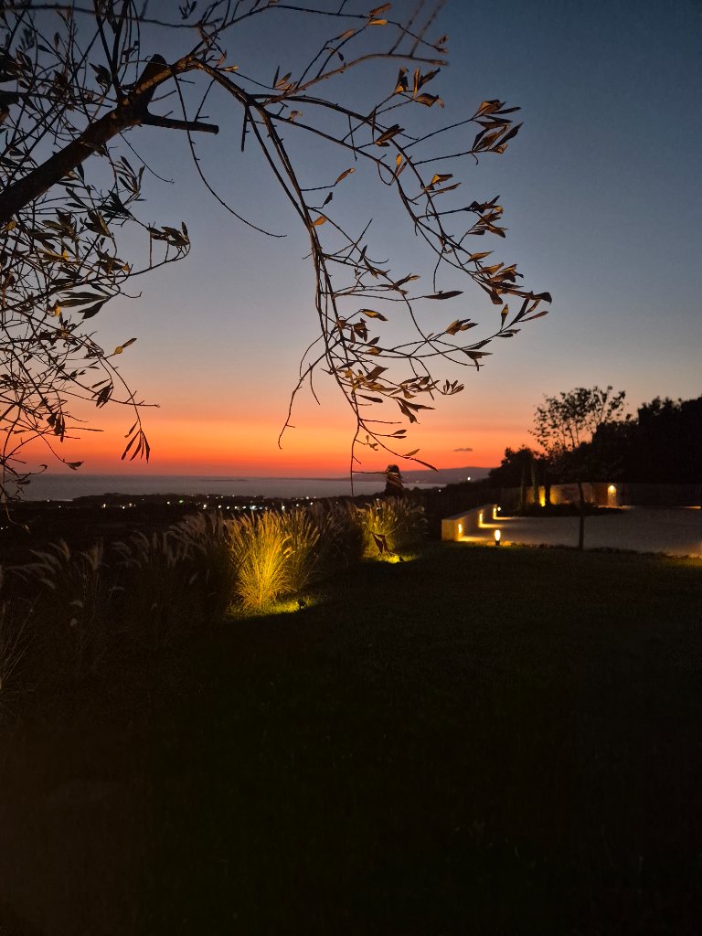 Sunset from the Garden
