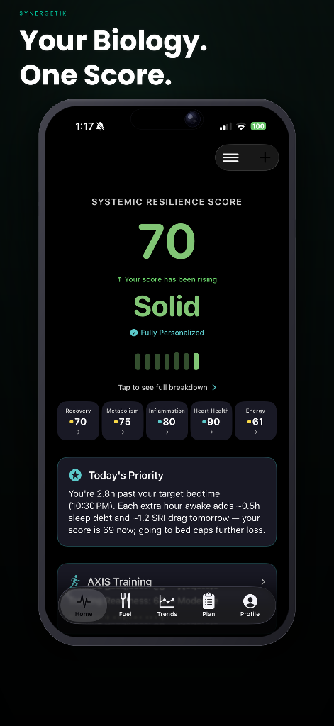 SYNERGETIK app dashboard