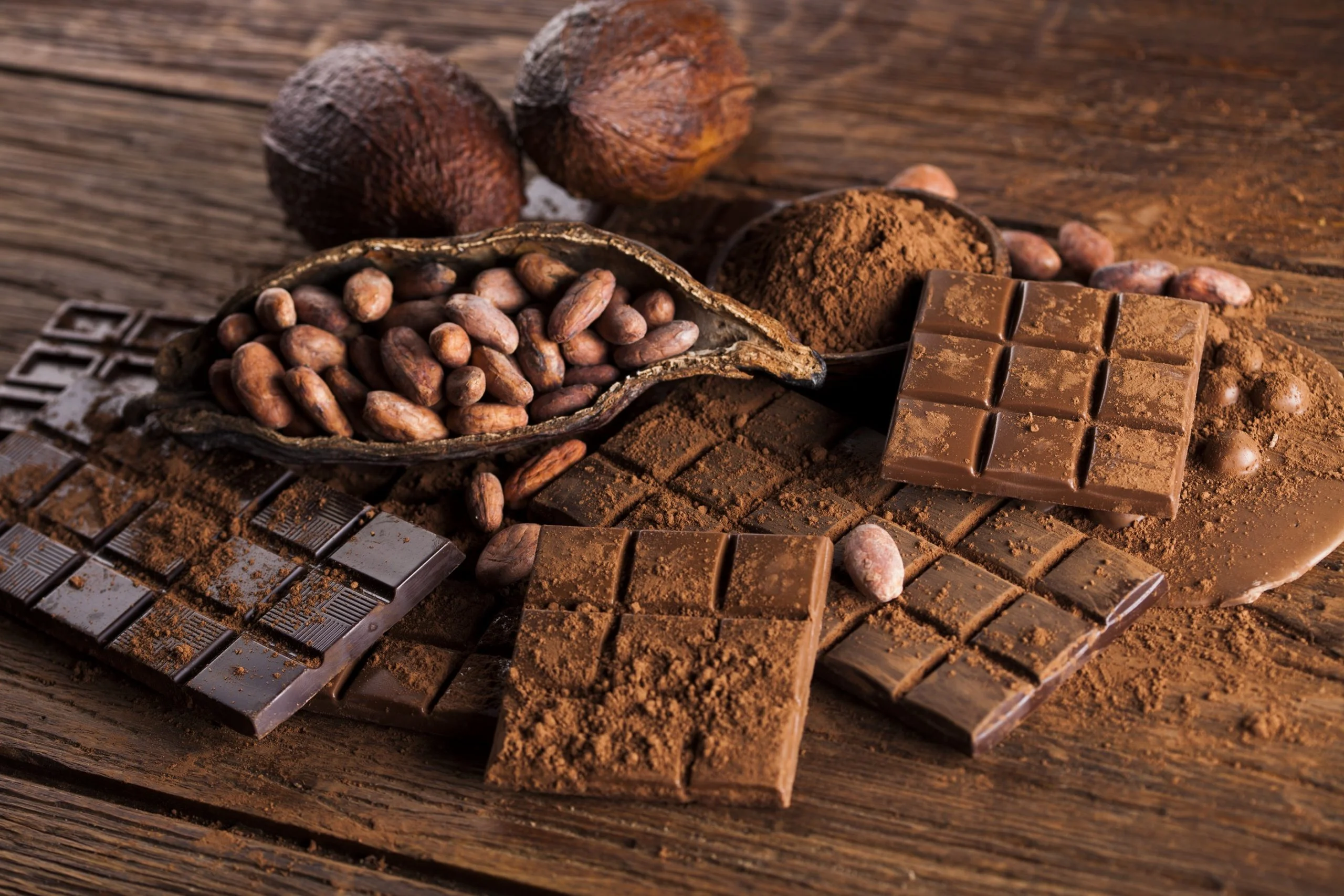 Kopenhagen lança plataforma de rastreabilidade do cacau 'da fazenda ao chocolate'