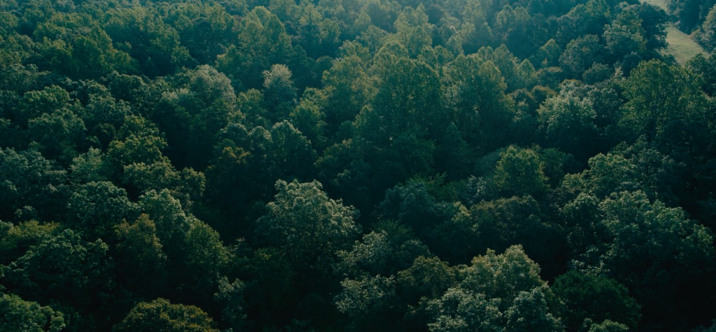Retreats & Wilderness Experiences