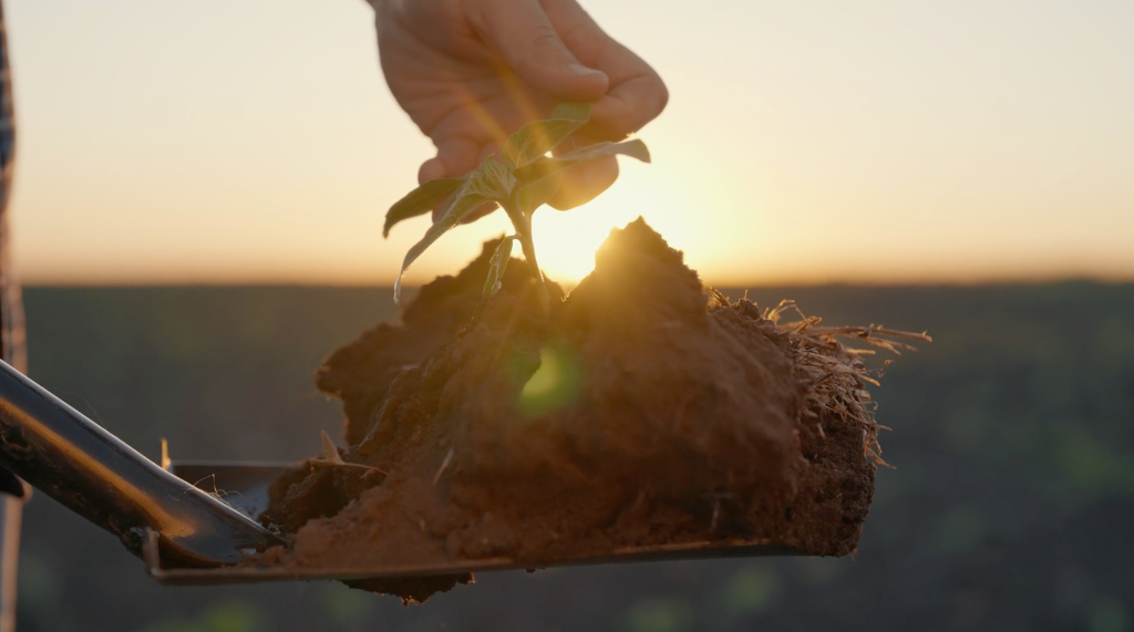Hands in the Earth Opportunities