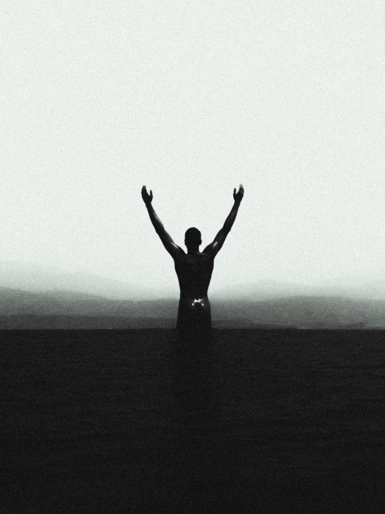 Silhouette Victory