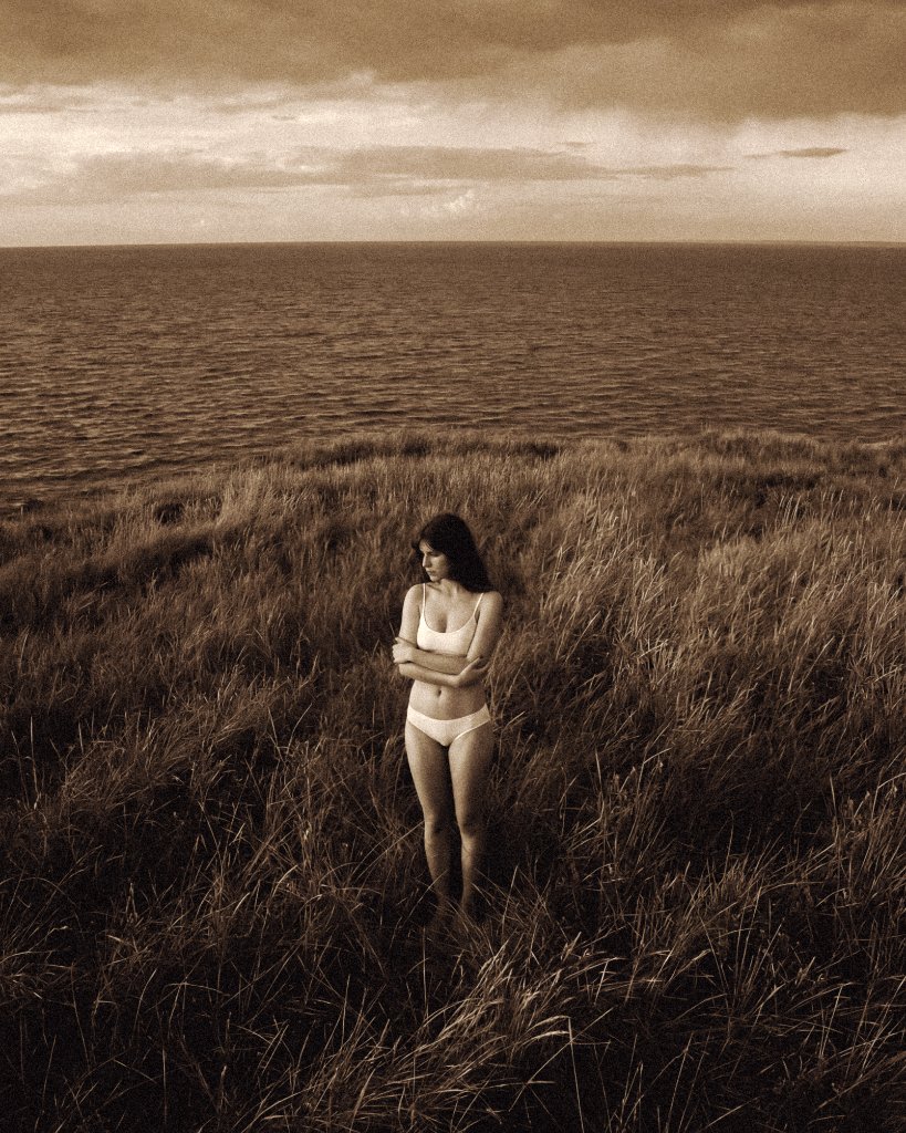 Field & Horizon