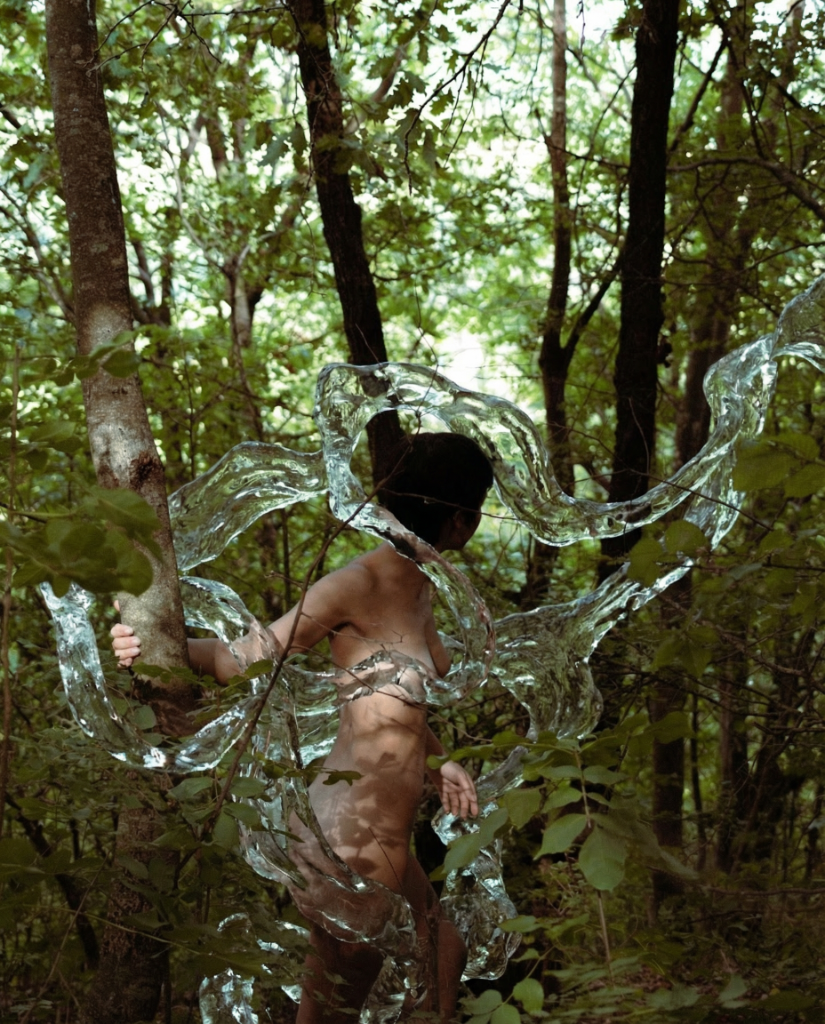 Forest Wings