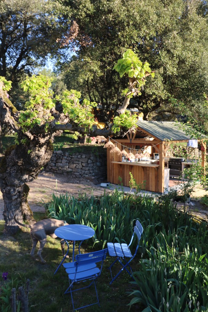 Mediterranean Gardens