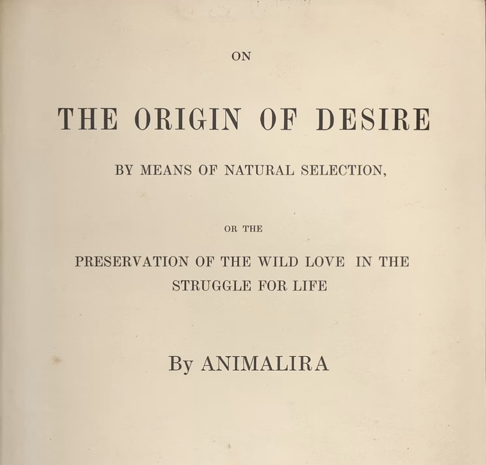 When Rhythm Hunts — Animalira's Track "The Origin of Desire" Awakens the Animal Within