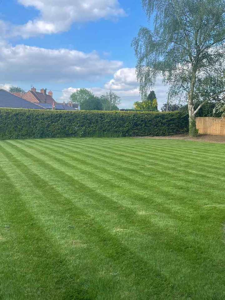 Professional gardening services Milton Keynes