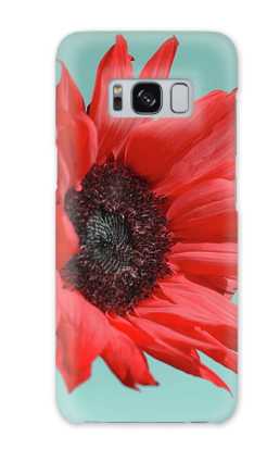 Phone Cases 4