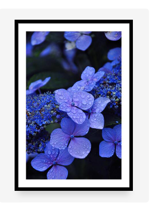 Picture Frames 5