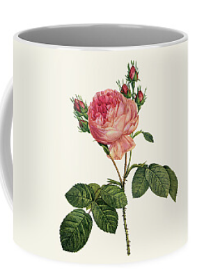 Mugs 4