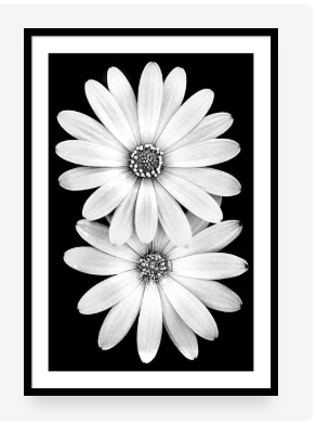 Picture Frames 3