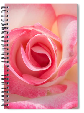 Notebooks 2