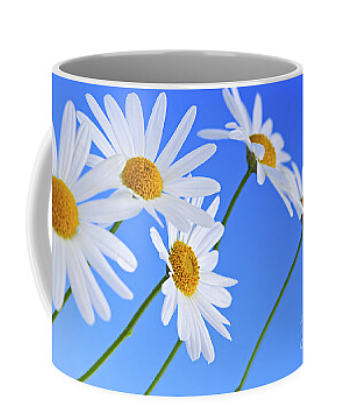 Mugs 5