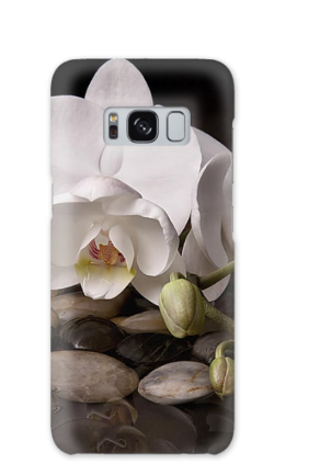 Phone Cases 5