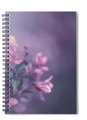 Notebooks 3