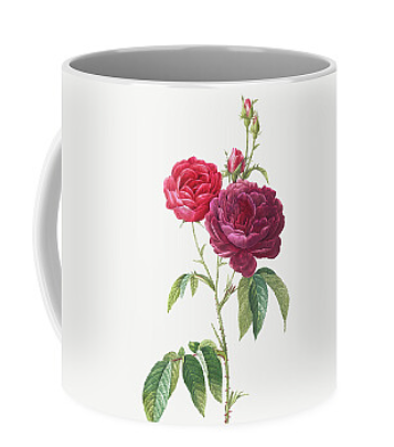 Mugs 2