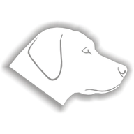 Lab.Radar Risk Retriever logo