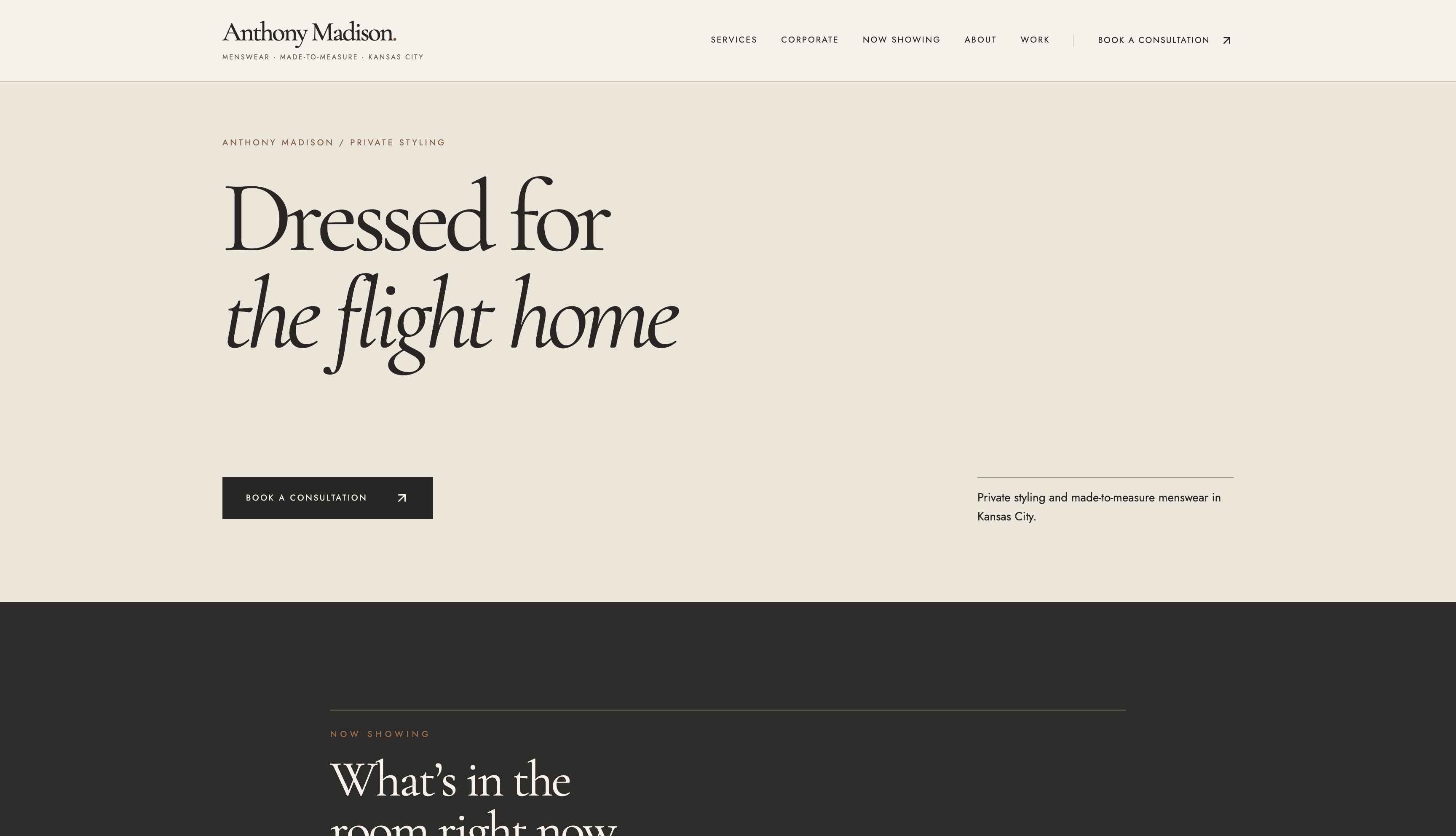 anthonymadison.com website preview