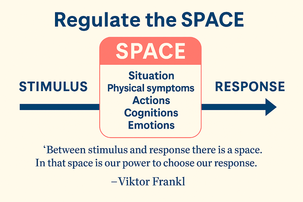 SPACE Framework