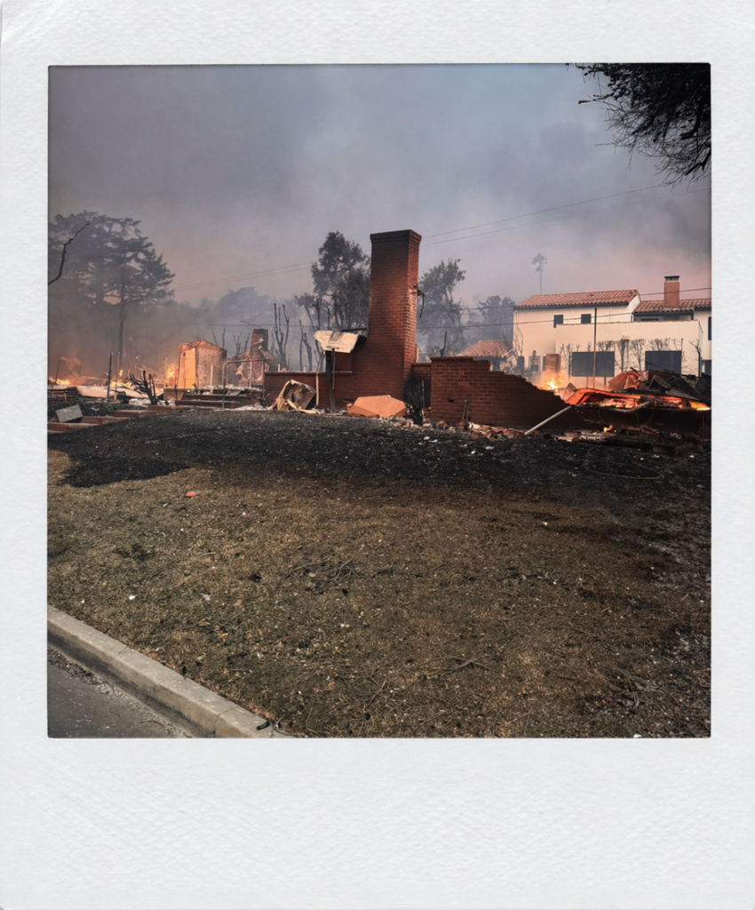 Wildfire