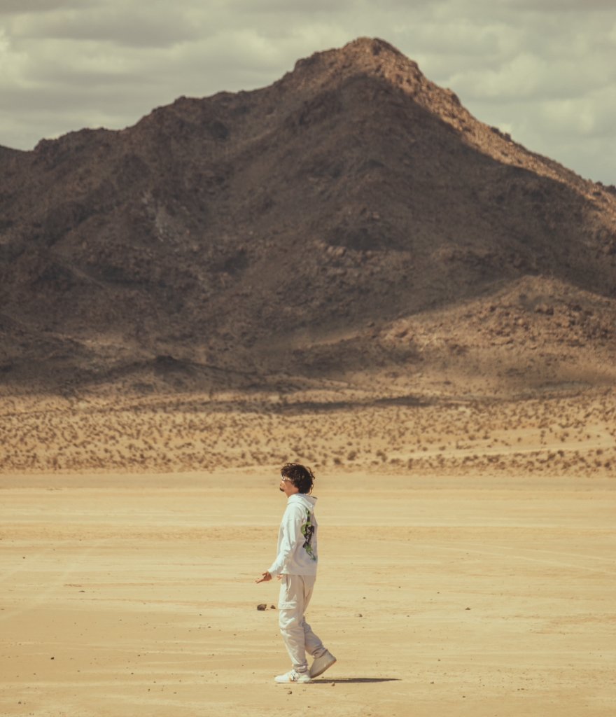 Arsenvoid in the desert landscape