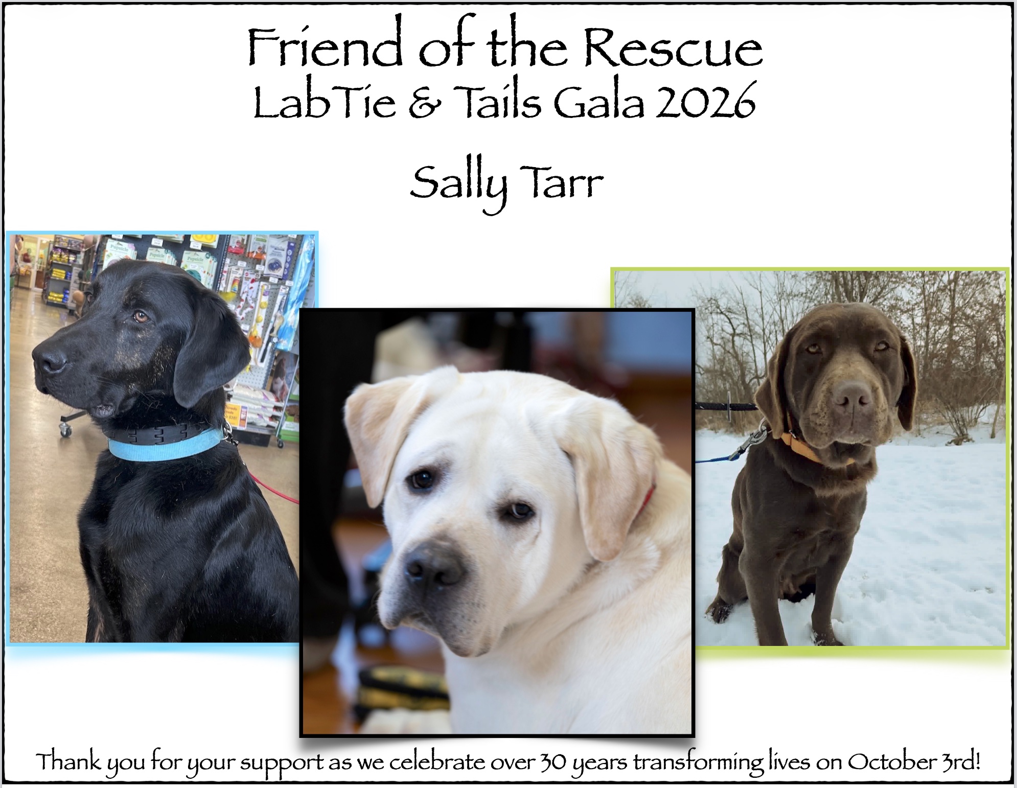 Sally Tarr