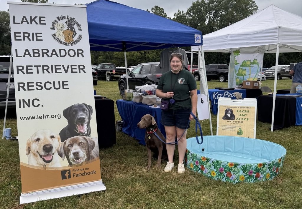 LELRR volunteers with rescue Labs