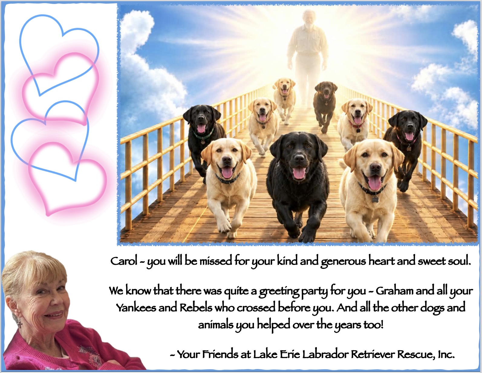 Special Recognition from LELRR — In loving memory of Carol Hall