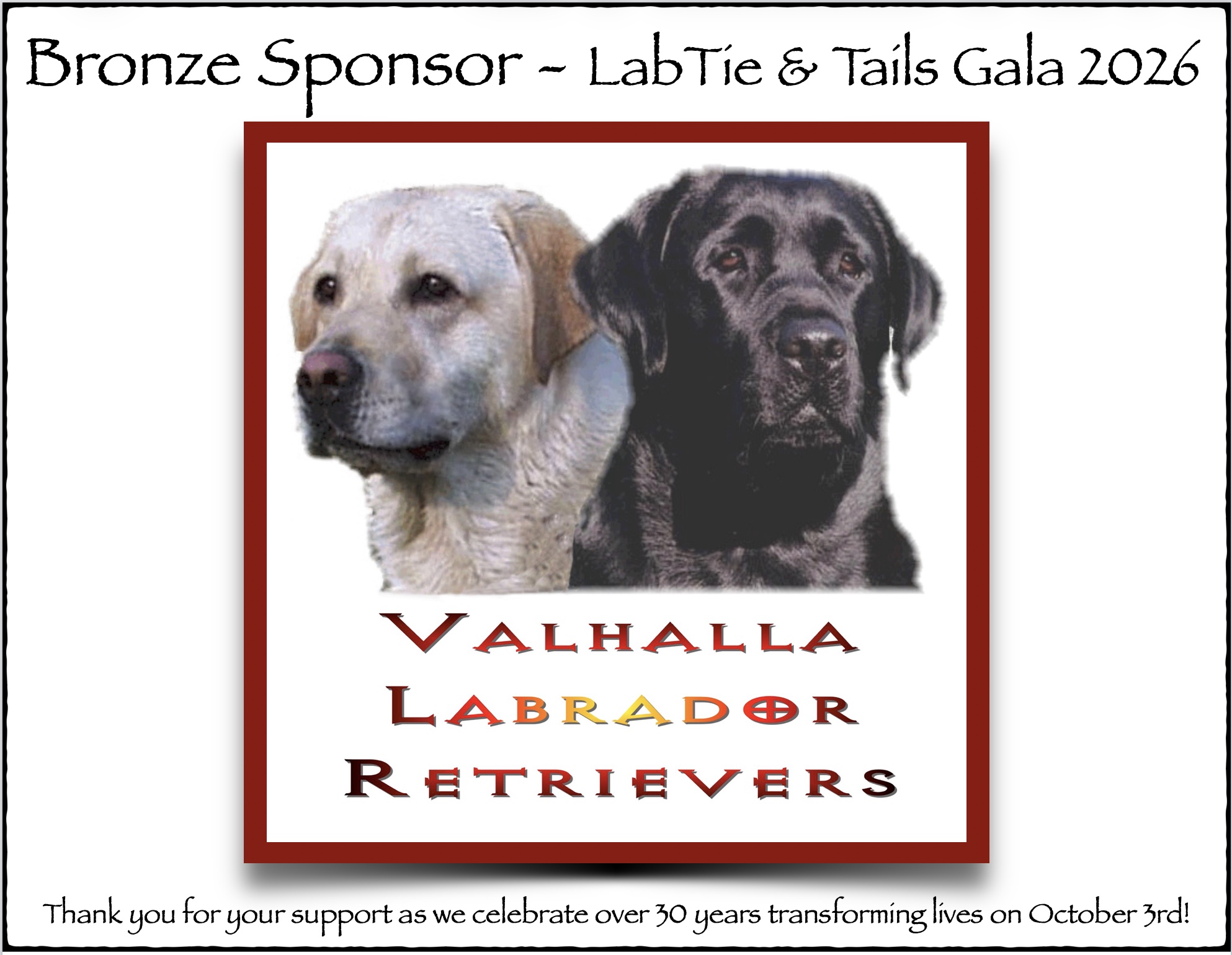 Valhalla Labrador Retrievers