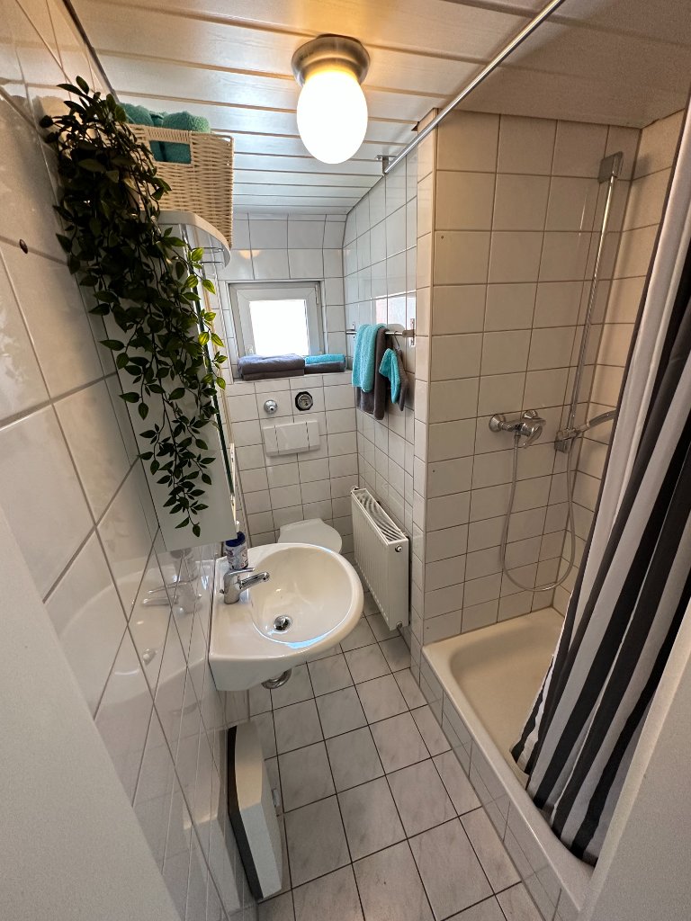 Business Apartment Executive