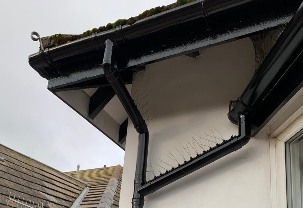 Fascias, Soffits & Guttering